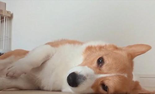 検証