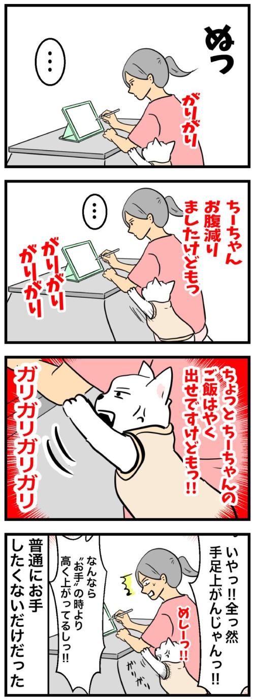 ちーちゃんですけどもっ【第345話】　2