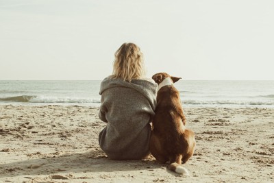 海、人と犬の後ろ姿