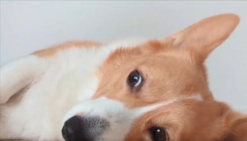 リラックス