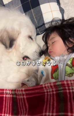 すぐ元通り♡