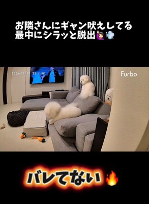 バレないで家を出られるか挑戦3