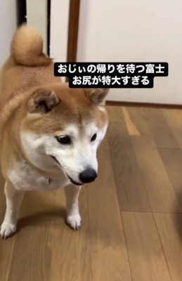 ニヤリ