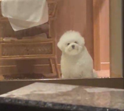 ふわもこ