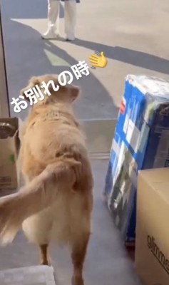 テクテク