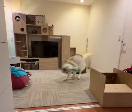体を