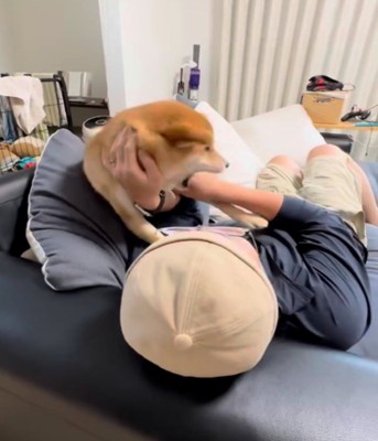 腕を噛む犬