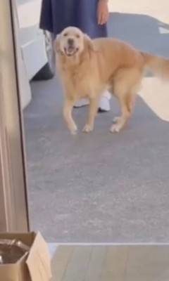ザッ！！