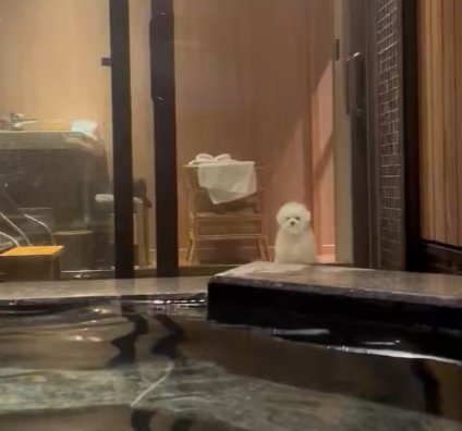 初めての経験