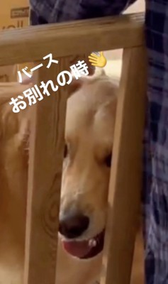 幸せな時間