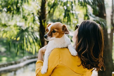 犬を抱っこする女性の後ろ姿