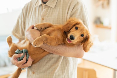 仰向けで犬を抱っこする