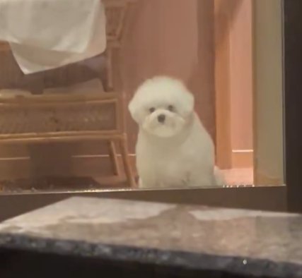 大丈夫