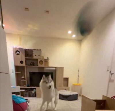 豪速