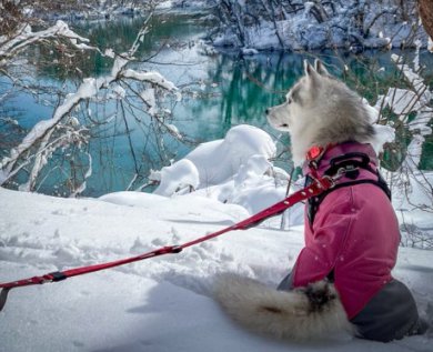 雪景色