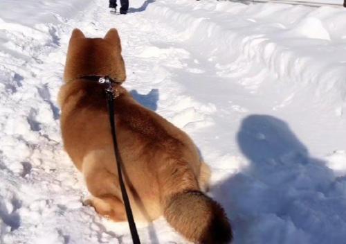 お別れのとき…