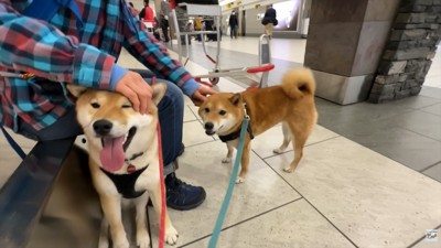 ナラちゃん＆ソラくんとママの再会6