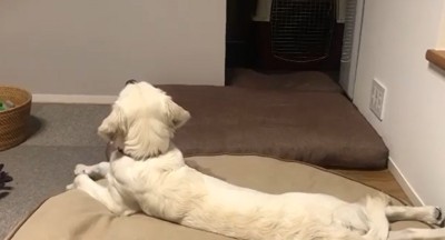 テレビを見るるちるちゃん3