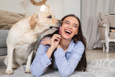 女性の顔を舐めるラブラドールレトリバー