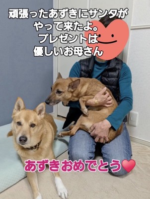 最高のプレゼントが…!