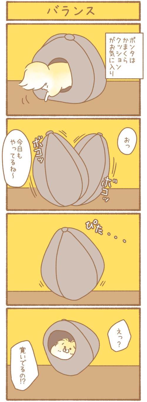 ただの犬好きです。【第347話】
