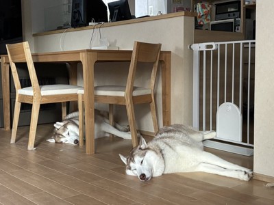 睡眠