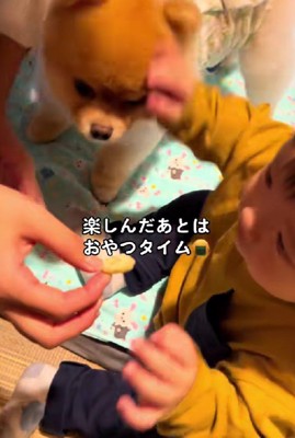 お手伝いのご褒美も