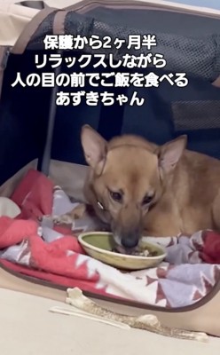 劇的な変化!