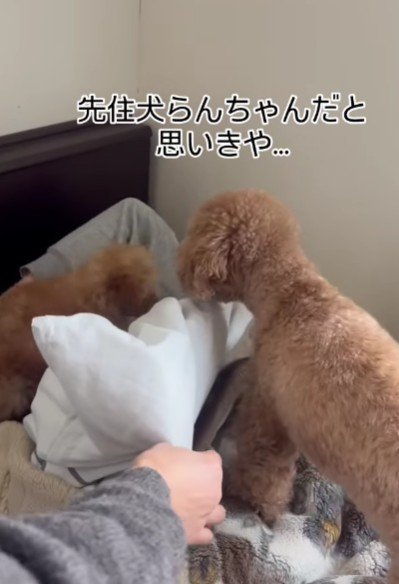 枕元に現れたのは…