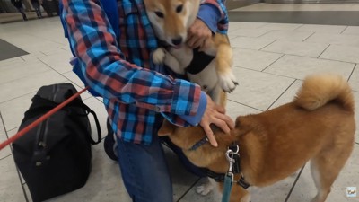 ナラちゃん＆ソラくんとママの再会5