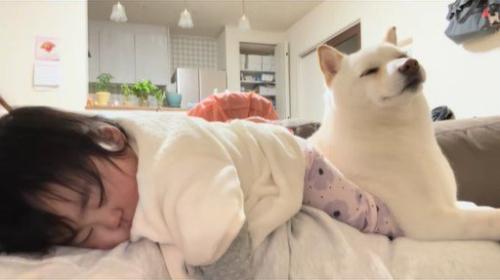 福丸くんとママと赤ちゃん