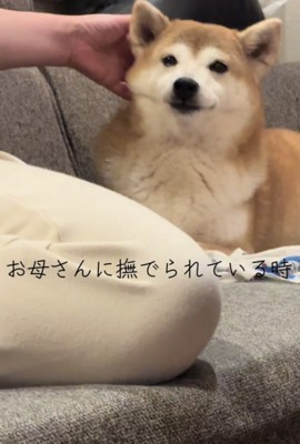 うっとり…