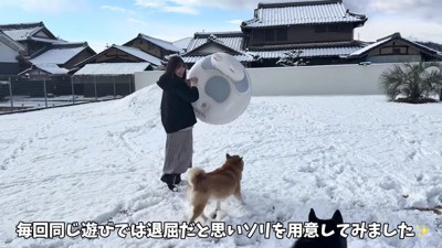 ソリを買ってみたよ!!