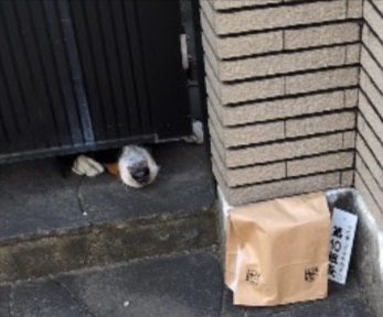バーニーズ