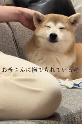 幸せいっぱい