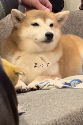 NO忖度
