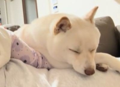 福丸くんとママと赤ちゃん4