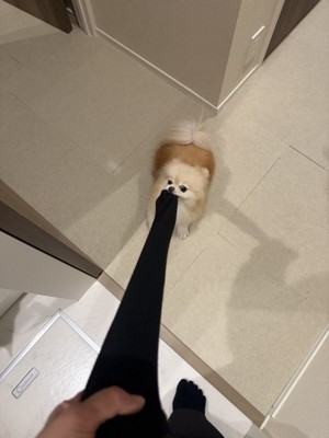 靴下