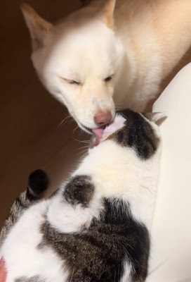 福丸くんと朔ちゃん