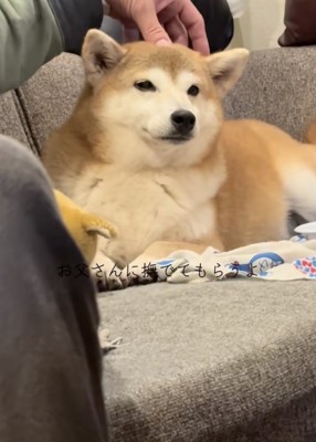 真顔！！