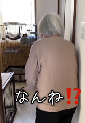子犬のオレオちゃんが登場!!