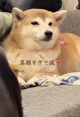 ずっと真顔