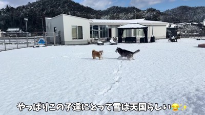 お庭で雪遊び!!