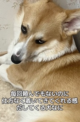 顔！