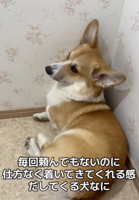 「待つか…」
