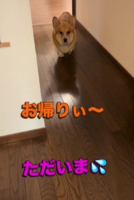 帰宅すると…