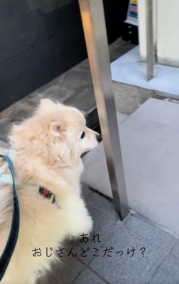 おじさんを探すエリーちゃん