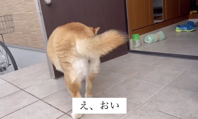 くるり