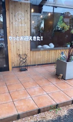ショーンくんのお迎え2