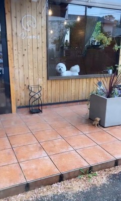 ショーンくんのお迎え